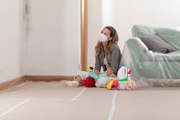 Reliable Mold Remediation contractor in Manassas, VA by WQB Mold Removal
